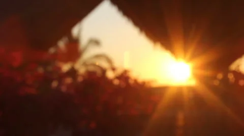 Sunset shining rays through a palapa in mexico Stock Footage 1071497