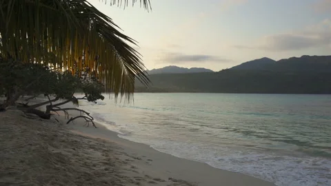 Sunset shining through palm trees at Caribbean beach Stock Footage 137965329