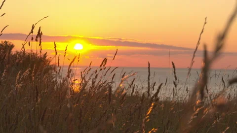 Sunset on the shore of the Baltic Sea in August Stock Footage 139048456