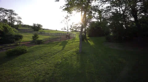 Sunset shot with horses Stock Footage 24585780