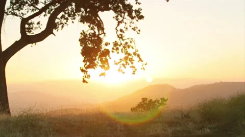 Sunset shots overlooking rolling hills of grass Stockbeeldmateriaal 31744741