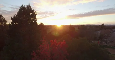 Sunset Showing from Behind Trees Video stock 63282057