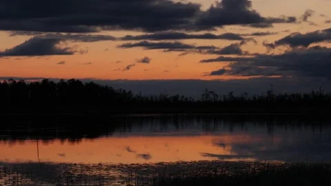 Sunset at siberian swamp and forest Stock Footage 281110023