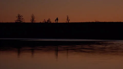 Sunset Silhouete Walk 01 Stock Footage 259340062