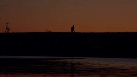 Sunset Silhouete Walk 03 Stock Footage 259340552