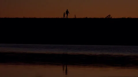 Sunset Silhouete Walk 04 Stock Footage 259340807