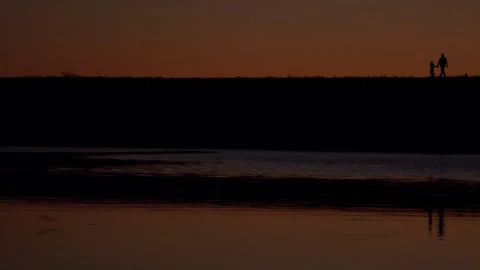 Sunset Silhouete Walk 05 Video stock 259341355