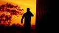 Sunset Silhouette 05 Man walking towards camera with cell phone in hand HD Footage