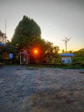Sunset silhouette between trees on mining office yard in kalimantan-indonesia Stock Photos