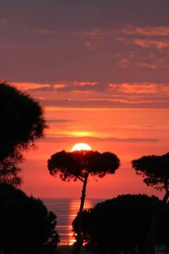 Sunset Silhouette with Flat-Top Tree Stock Photos