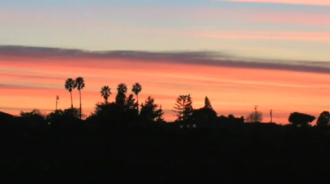 Sunset Silhouette Stock Footage 503860