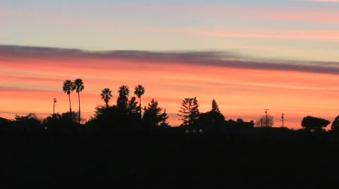 Sunset Silhouette Stock Footage 521639