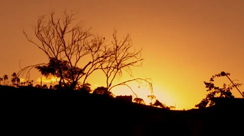 Sunset Silhouette Stock Footage 37792270