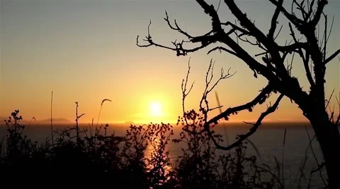 Sunset Silhouette Stock Footage 42309725