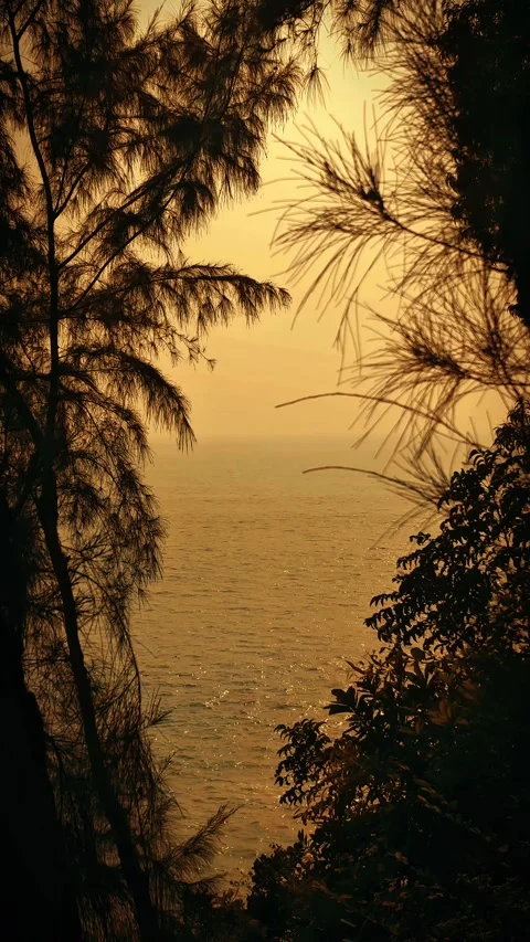 Sunset Silhouette Over Ocean Stock Footage 303571489