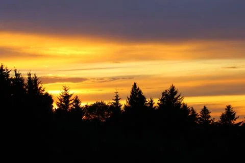 Sunset silhouette Stock Photos