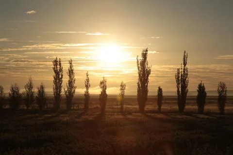 Sunset Silhouette Stock Photos