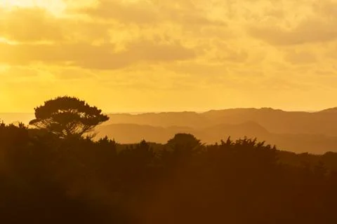 Sunset Silhouette Foto stock