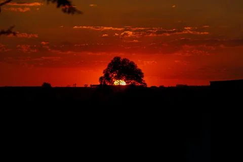 Sunset Silhouette Stock Photos