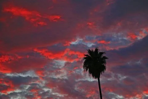 Sunset Silhouette Stock Photos