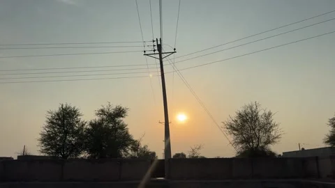 Sunset Silhouette, Power Line and Trees Stock Footage 320354522