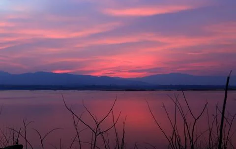 Sunset silhouette tree on the lake Stock Photos