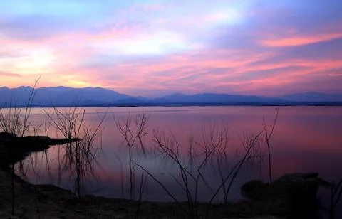 Sunset silhouette tree on the lake Stock Photos