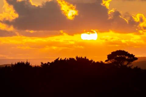 Sunset Silhouette With Tree Stock Photos