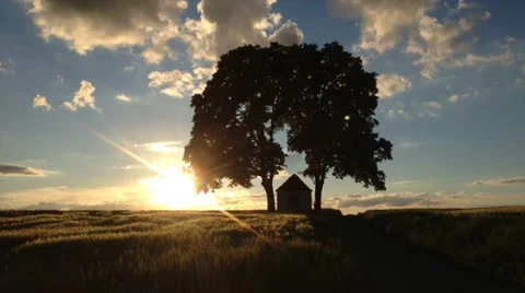 Sunset with silhouette of trees 動画素材 45603953