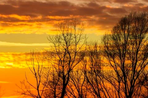 Sunset  with silhouette trees Stock Photos