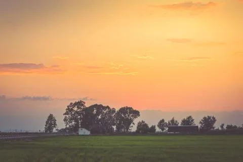 Sunset with silhouette of trees Stock Photos