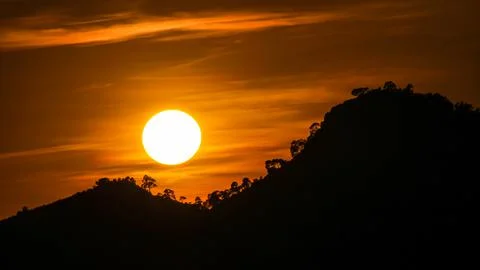 Sunset Silhouette trees Foto stock