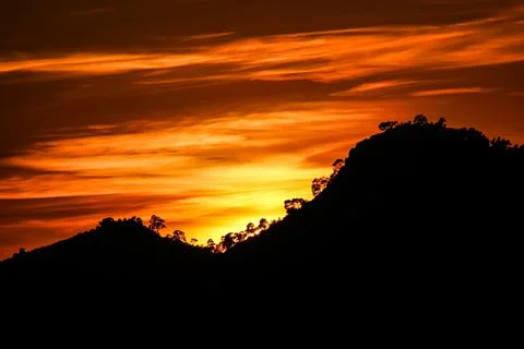 Sunset Silhouette trees Foto stock