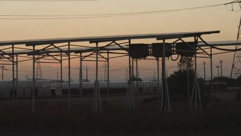 Sunset Silhouettes at Agrivoltaic System, Crop Cultivation with Solar Power Stock Footage 276184005