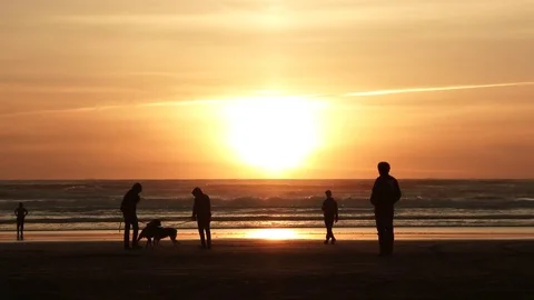 Sunset Silhouettes At The Beach Video stock 74626531