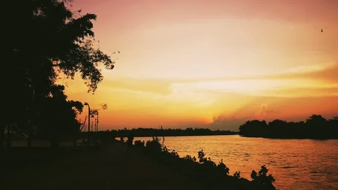 Sunset  silhouettes a coconut tree and people jogging Stock Footage 104887398