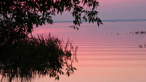 Sunset Silhouettes Stock Footage 162233485