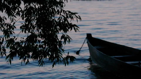 Sunset Silhouettes Stock Footage 164022578