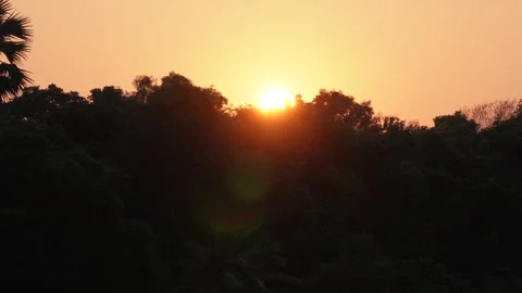 Sunset Silhouettes of Trees Vídeo Stock 328525052