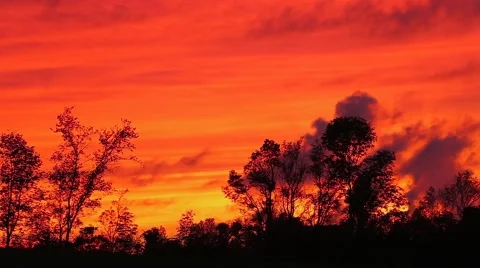Sunset Silhouettes of Trees with Time Lapse Motion Stock Footage 67920003