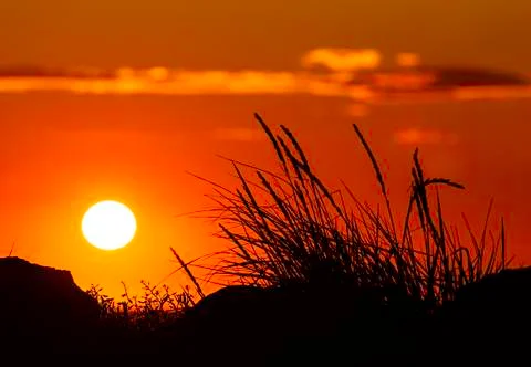 Sunset silhoutte Stock Photos
