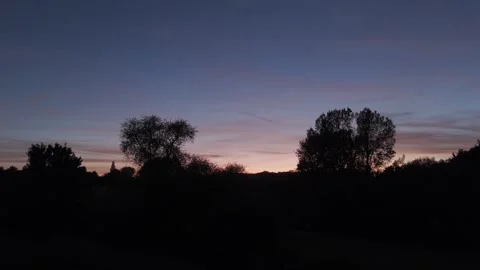 Sunset Silhoutted Trees Tracking Shot 4K 25 Stock Footage 301121301