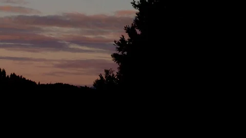 Sunset in a sillhouetted forest Video stock 90817912