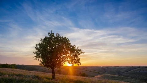 Sunset sits behind the tree top among the hills in summer Stock Footage 77572504