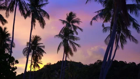 Sunset sky and cloud scene tropical light against coconut tree hill silhouett Stock Footage 154501577