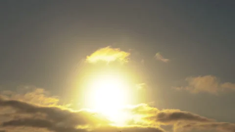 Sunset sky and flock of flying birds on the beach Stock Footage 161467619