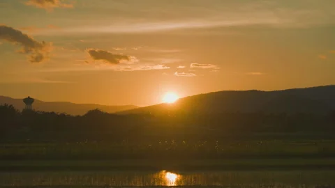 Sunset on sky and rice field agriculture in countryside Stock Footage 246872602