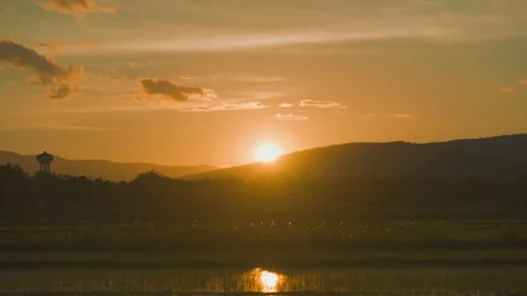 Sunset on sky and rice field agriculture in countryside Stock Footage 246872913