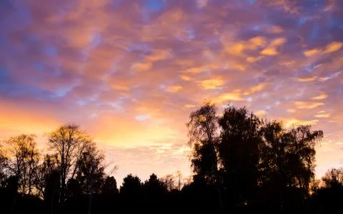 Sunset sky and trees Stock Photos