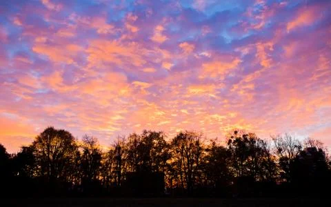 Sunset sky and trees Stock Photos